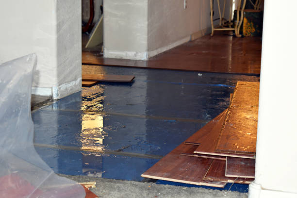 Professional Sewage Cleanup technician working in Wilton, ME